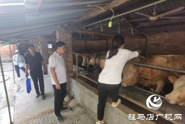 確山縣朗陵街道：全面消殺 確保無(wú)&ldquo;疫&rdquo;