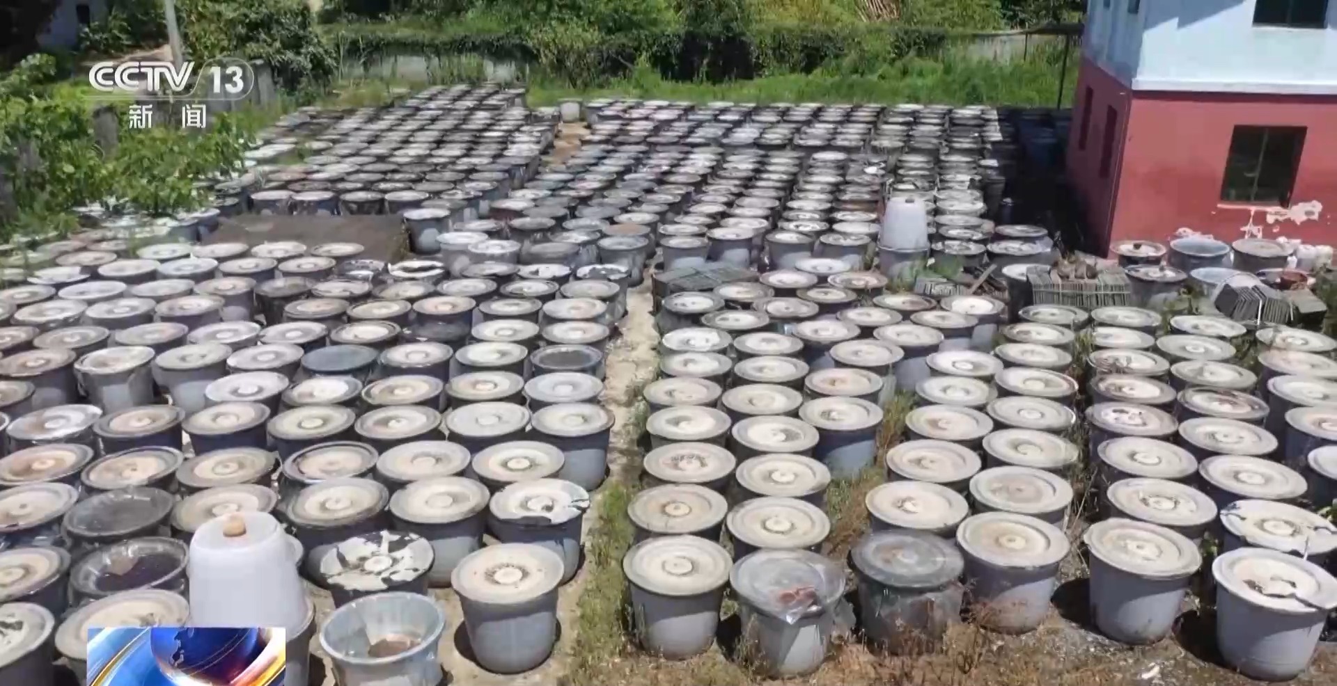 高價(jià)回收是誘餌！警惕以“訂單農(nóng)業(yè)”為名的騙局