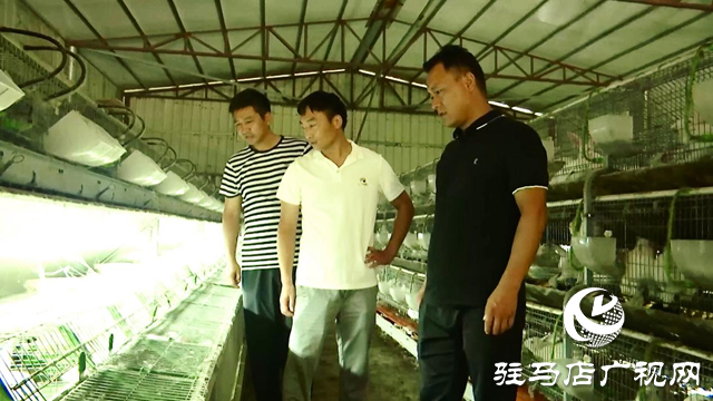 正陽(yáng)縣人大代表高振偉:助推鄉(xiāng)村振興新篇章