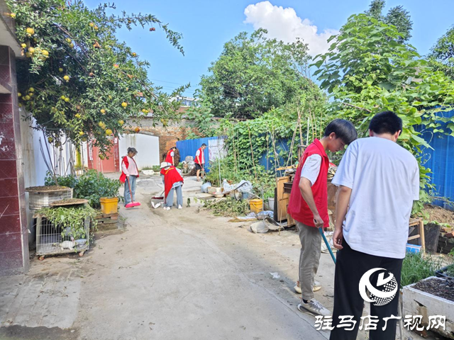 確山縣盤(pán)龍街道生產(chǎn)街社區(qū)開(kāi)展精致清掃志愿服務(wù)活動(dòng)