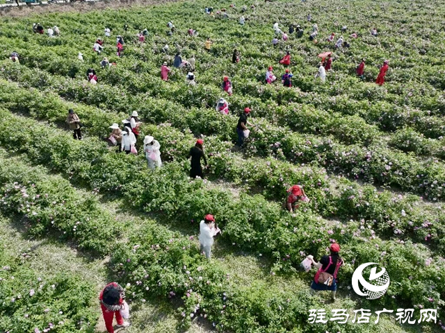 人大代表鄭亮:產(chǎn)業(yè)引領(lǐng)致富路 共建文明新鄉(xiāng)村