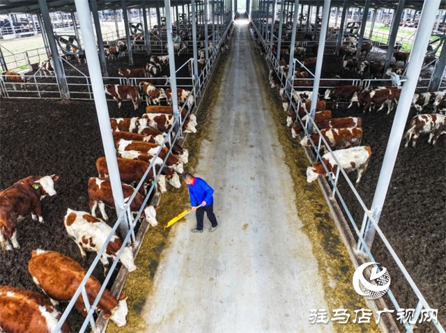 正陽(yáng)縣新阮店鄉(xiāng):全面發(fā)力“五星”支部創(chuàng)建 黨建引領(lǐng)譜寫鄉(xiāng)村振興新篇章