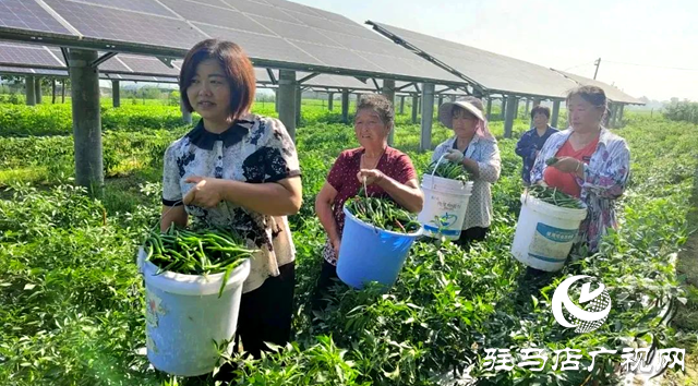 正陽(yáng)縣永興鎮(zhèn):發(fā)揮黨建引領(lǐng)作用 全面促進(jìn)鄉(xiāng)村振興