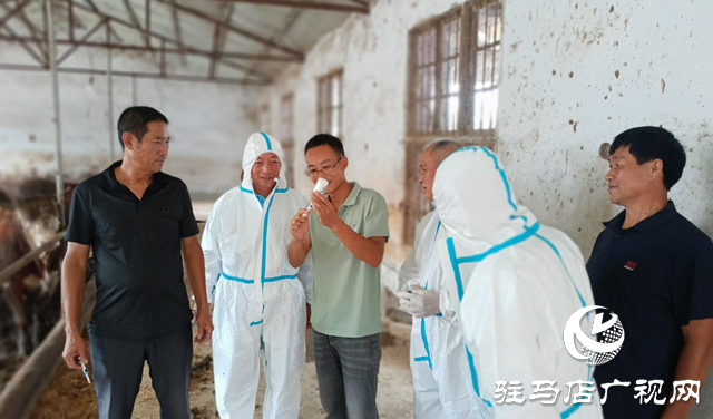 確山縣任店鎮(zhèn)：扎實開展畜牧防疫 筑牢養(yǎng)殖安全“防護(hù)網(wǎng)”
