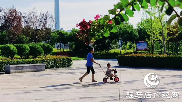 泌陽縣:“月兒灣”魅力綻放