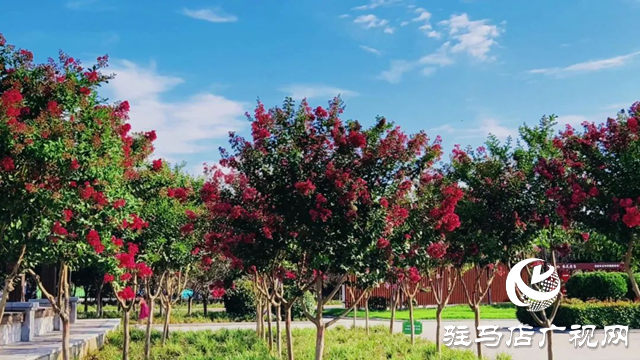 泌陽縣:“月兒灣”魅力綻放