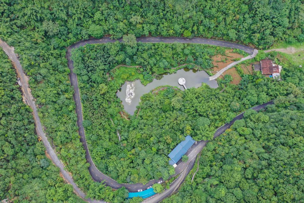 時(shí)光相冊(cè)丨弄拉的重生：荒山披綠 窮嶺生金