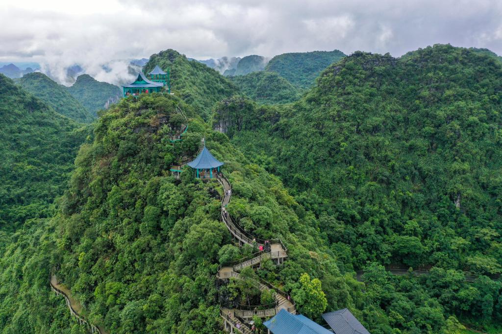 時(shí)光相冊(cè)丨弄拉的重生：荒山披綠 窮嶺生金