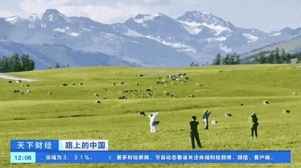 70.8億人次！暑期這場長達兩個月的&ldquo;大遷徙&rdquo;，你去了哪兒？