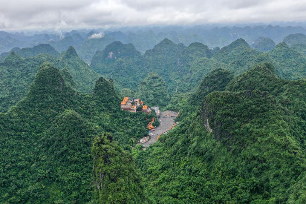 時(shí)光相冊(cè)丨弄拉的重生：荒山披綠 窮嶺生金