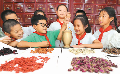 以高標準引領中醫(yī)藥“走出去”（大健康觀察）