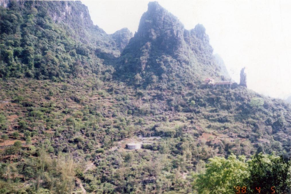 時(shí)光相冊(cè)丨弄拉的重生：荒山披綠 窮嶺生金