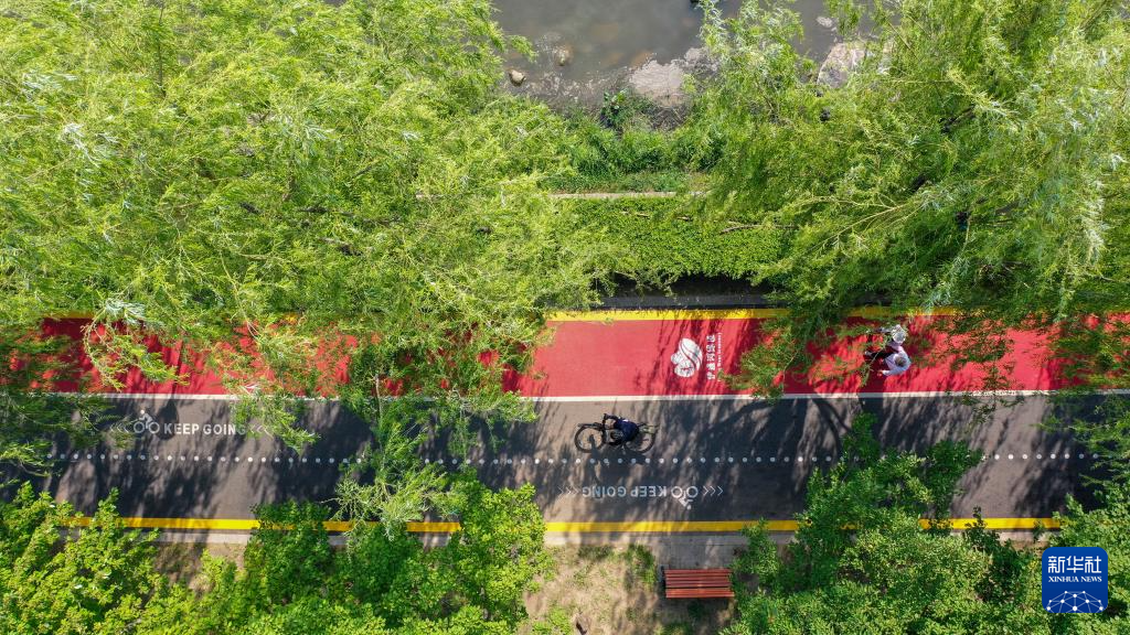 飛閱中國(guó)｜東北地區(qū)筑牢生態(tài)屏障