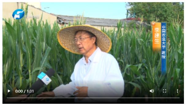 直擊現(xiàn)場(chǎng)！多位農(nóng)業(yè)專(zhuān)家實(shí)地調(diào)查玉米&ldquo;空稈、超短裙&rdquo;現(xiàn)象