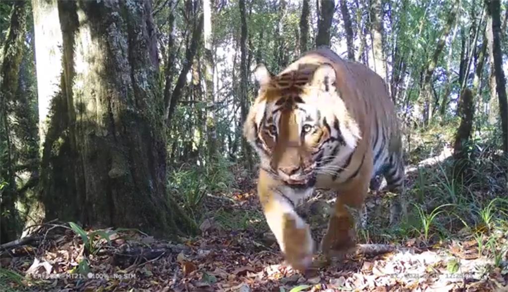 重要成果集中發(fā)布！第二次青藏科考“大開箱”