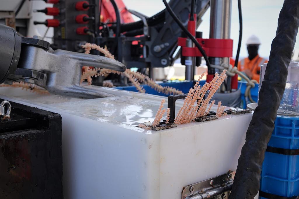 順利完成300潛！“蛟龍?zhí)枴闭蔑@中國(guó)深潛實(shí)力