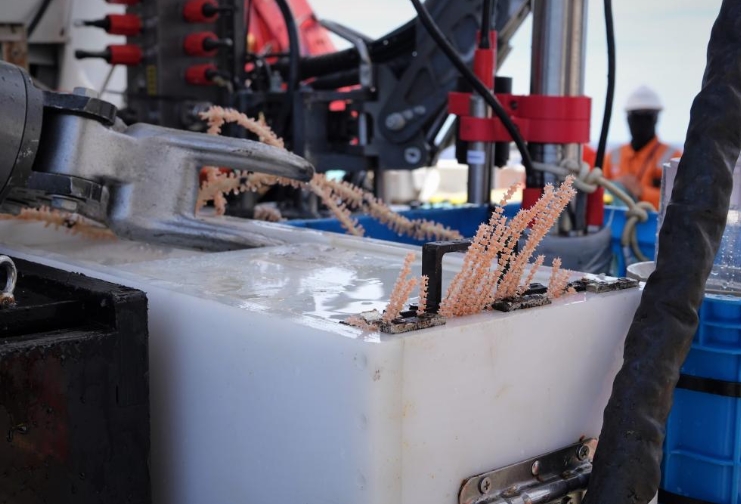 順利完成300潛！“蛟龍?zhí)枴闭蔑@中國(guó)深潛實(shí)力