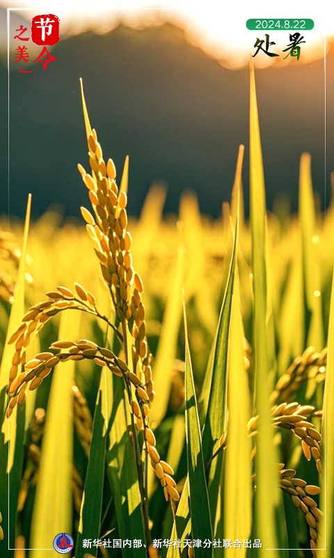 節(jié)令之美｜22日22時55分處暑：離離暑云散，裊裊涼風(fēng)起