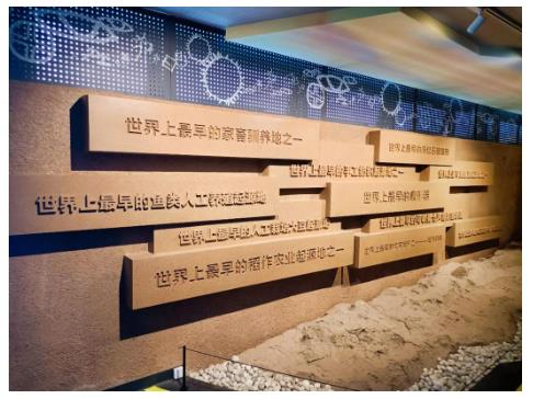 8000年前“富足”的賈湖先民，創(chuàng)造了11項“世界之最”丨何以中國 行走河南