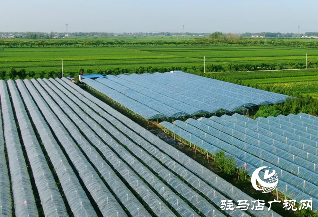 正陽縣袁寨鎮(zhèn):“五星”支部創(chuàng)建讓鄉(xiāng)村煥發(fā)新活力