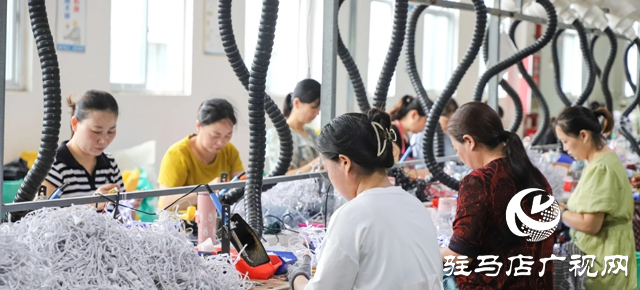 正陽(yáng)縣:燈飾公司成為留守婦女的“搖錢(qián)樹(shù)”