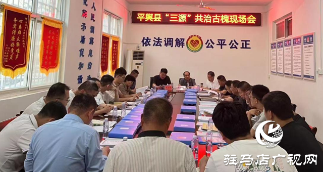 平輿縣:推進“三源”共治 建立多元化解糾紛新格局