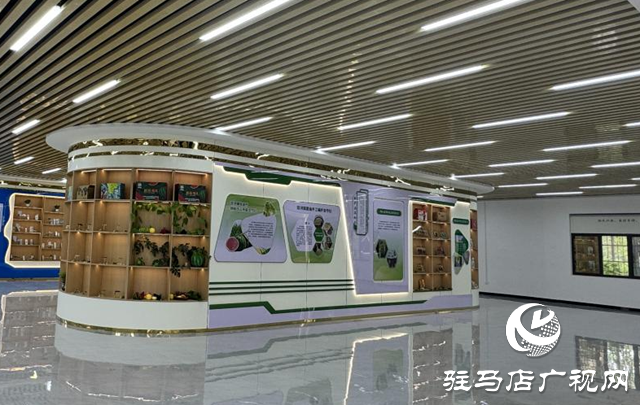 確山縣雙河鎮(zhèn):電商助農(nóng)按下鄉(xiāng)村振興“快捷鍵”