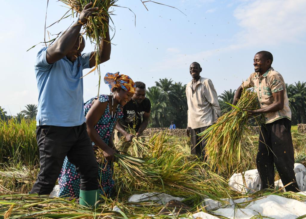 中非合作論壇|特稿:在現(xiàn)代化征程上攜手同行——習(xí)近平主席引領(lǐng)中非合作開啟新篇章