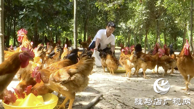 正陽縣:“四好農(nóng)村路”為鄉(xiāng)村振興注入新活力