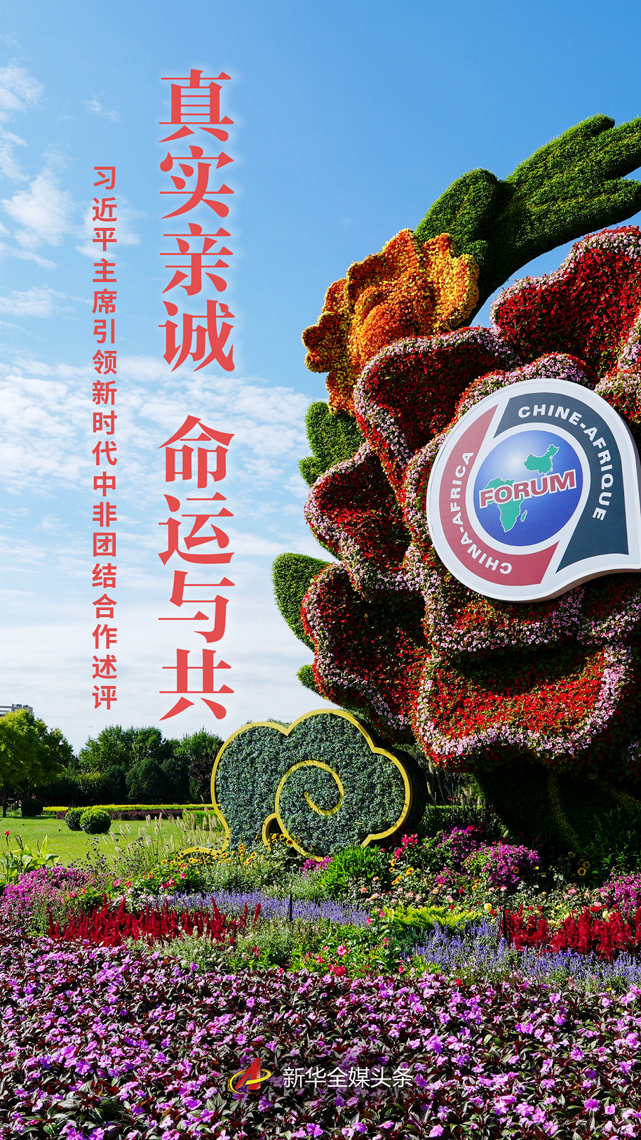 真實親誠 命運與共——習(xí)近平主席引領(lǐng)新時代中非團(tuán)結(jié)合作述評