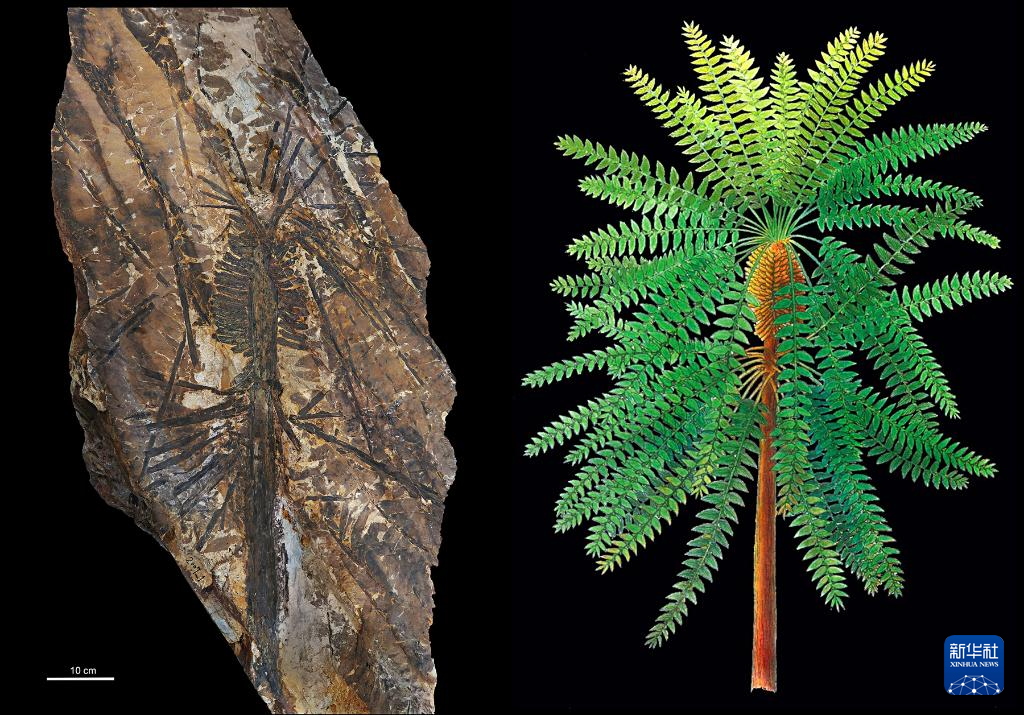 內蒙古烏海有一座“植物龐貝城”