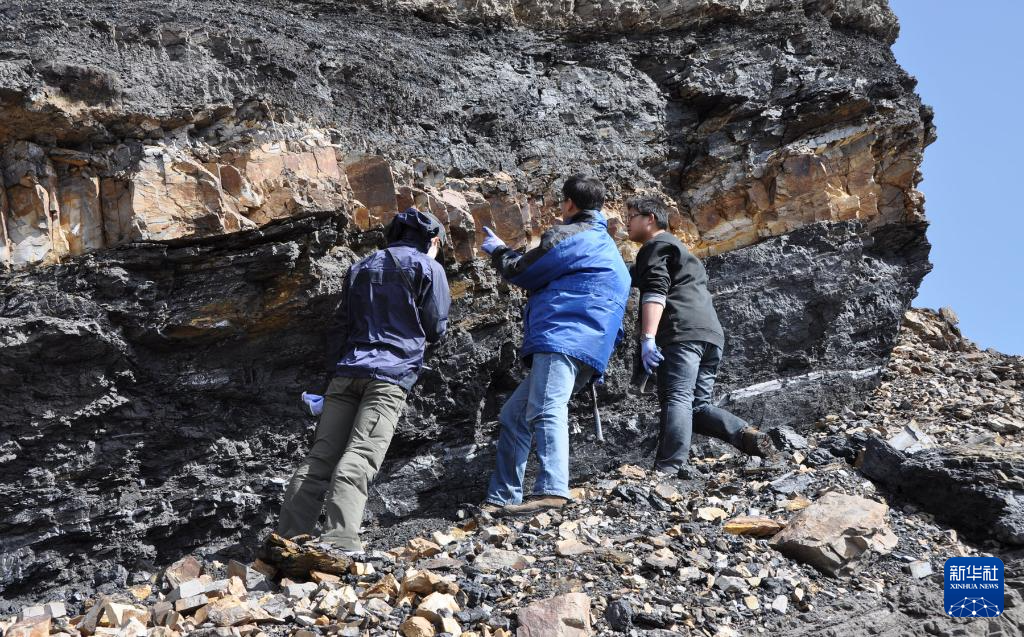內蒙古烏海有一座“植物龐貝城”