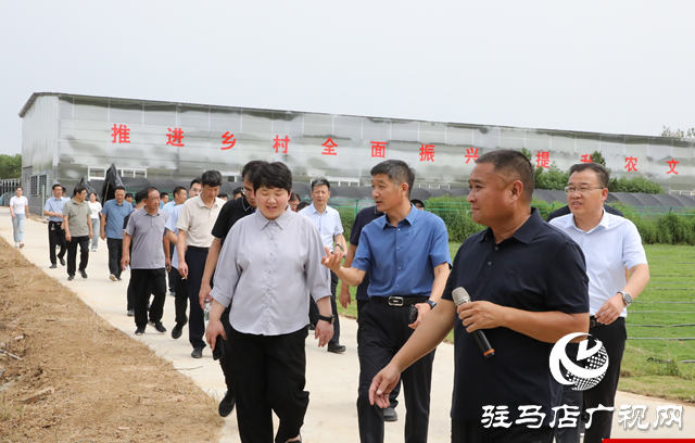 泌陽縣：觀摩文旅項目 做強文旅產業(yè)