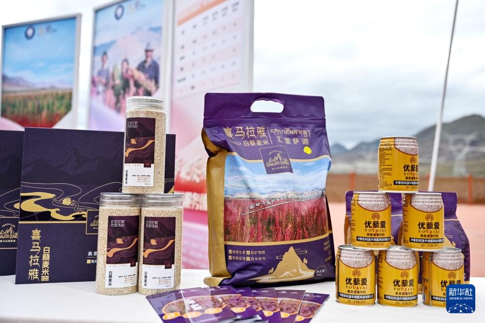 雪域高原煥新貌:高原藜麥種植帶動西藏農戶增收