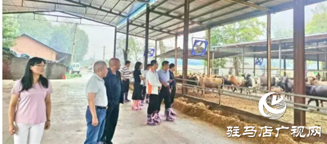 確山:專家齊聚 支招肉牛產(chǎn)業(yè)發(fā)展