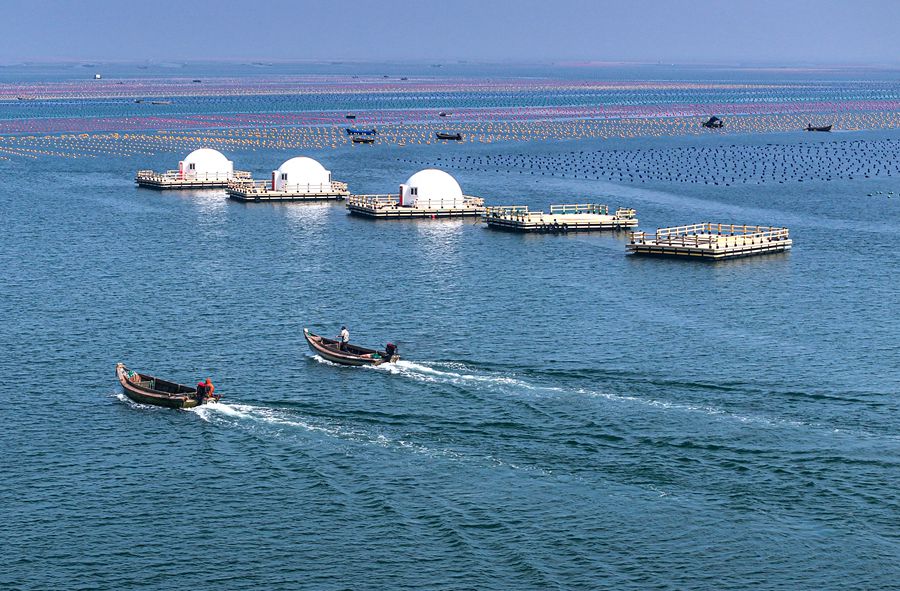 4.9萬(wàn)億！看推進(jìn)建設(shè)海洋強(qiáng)國(guó)取得這些新成效