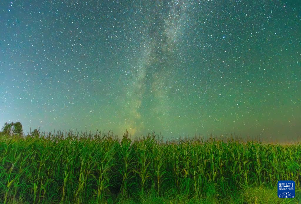 豐收田野&ldquo;約會(huì)&rdquo;浪漫星空