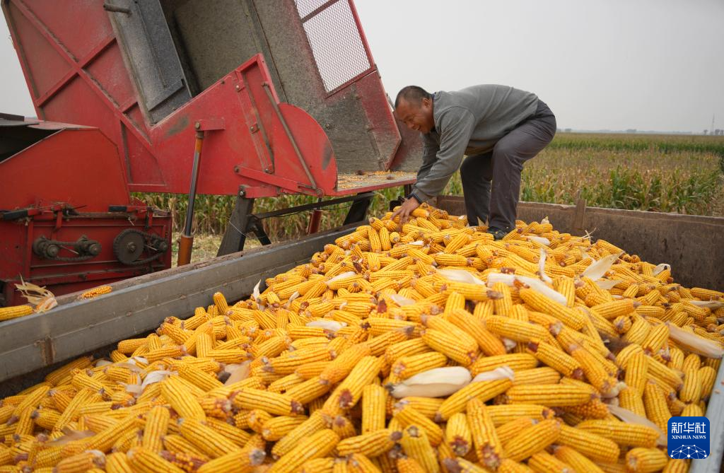 金秋好“豐”景