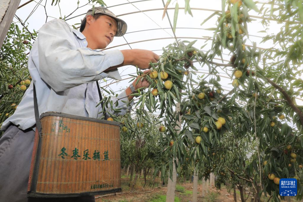金秋好“豐”景