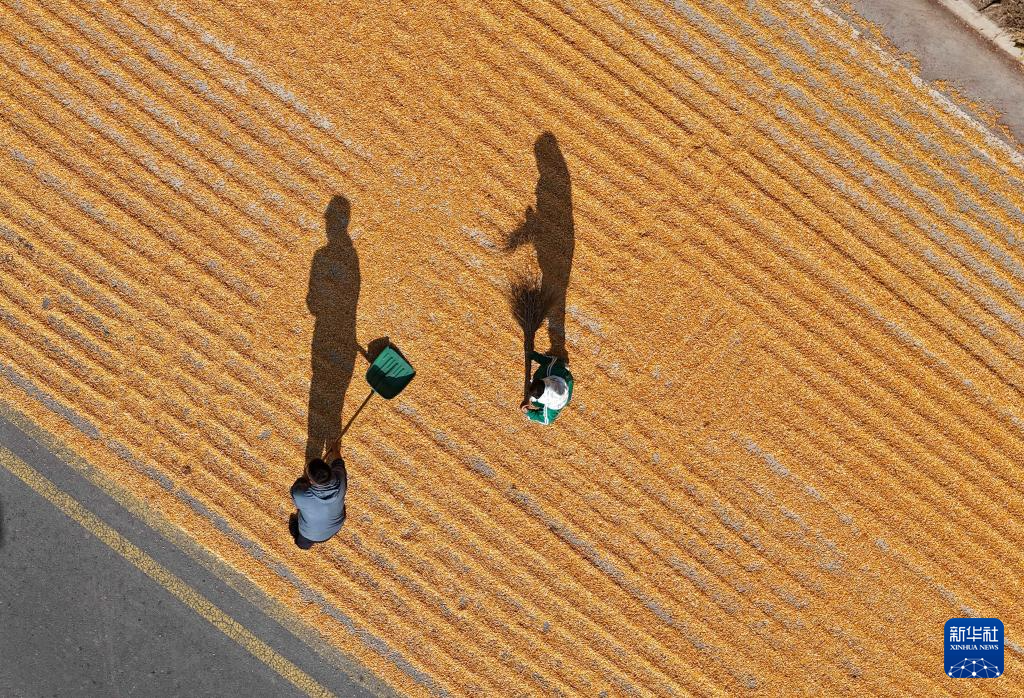 金秋好“豐”景