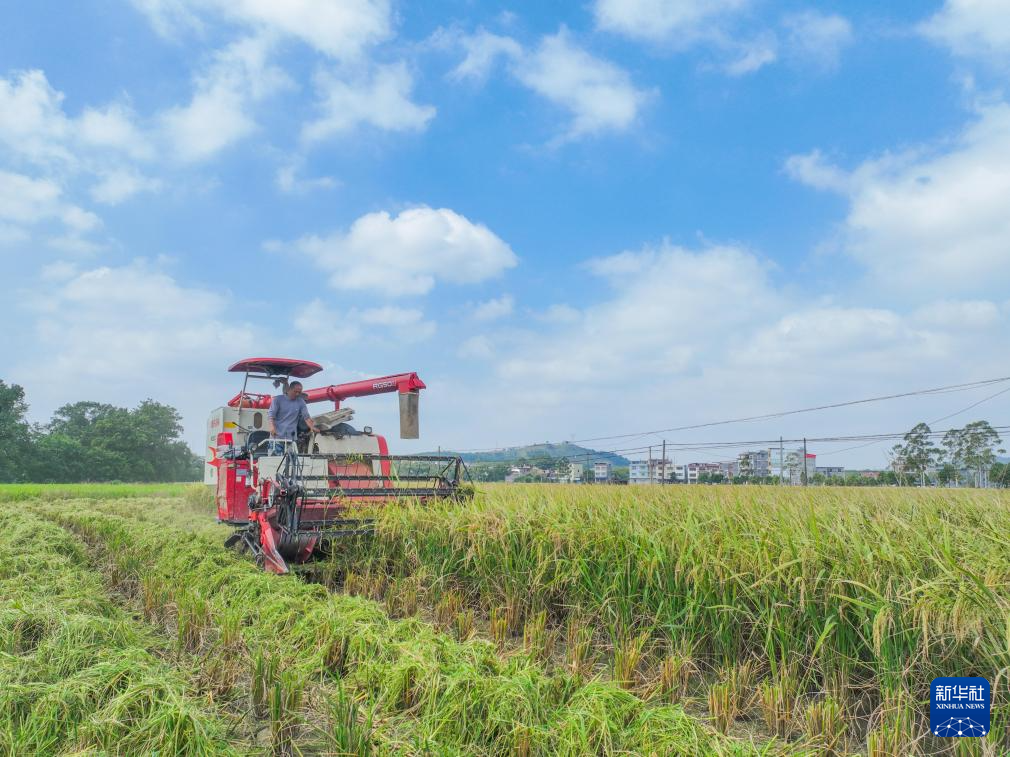 金秋好“豐”景
