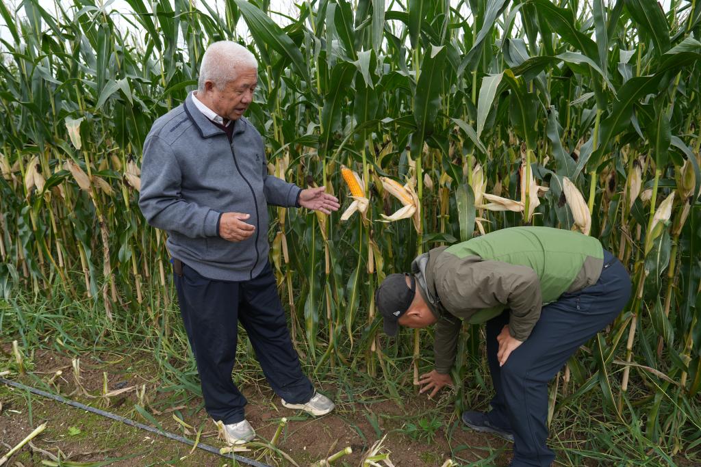 習(xí)近平總書記關(guān)切事 | 托起幸?！跋﹃柤t”