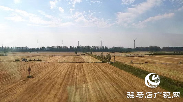 確山縣:125.2萬(wàn)畝秋作物收獲完畢