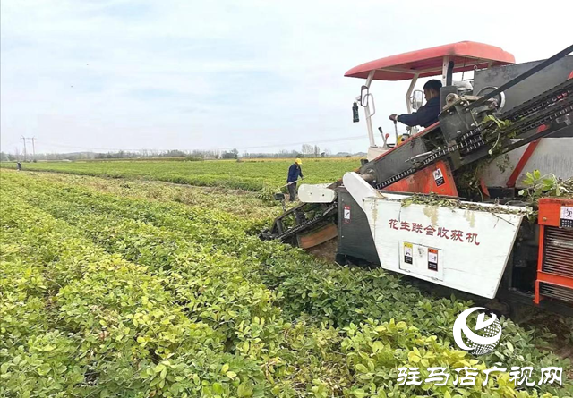 確山縣:125.2萬(wàn)畝秋作物收獲完畢