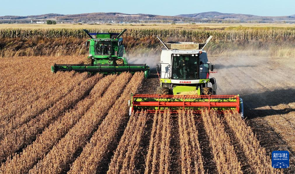 當(dāng)好國(guó)家糧食穩(wěn)產(chǎn)保供“壓艙石”——“大糧倉(cāng)”黑龍江秋收?qǐng)D景掃描