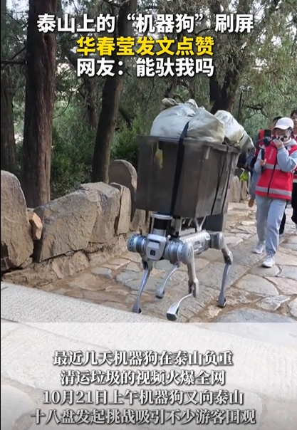 泰山“機器狗”火到海外？華春瑩點贊