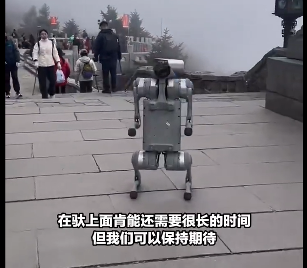 泰山“機器狗”火到海外？華春瑩點贊