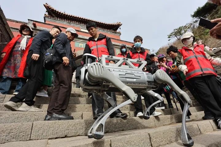 泰山“機器狗”火到海外？華春瑩點贊