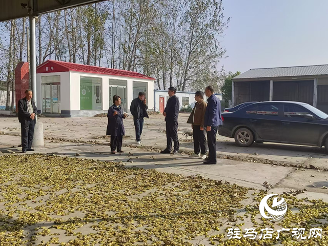 平輿縣民政局:積極引導(dǎo)幫扶村發(fā)展特色產(chǎn)業(yè) 助推鄉(xiāng)村振興