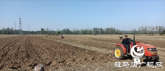 泌陽縣下碑寺鄉(xiāng)：全力促秋播 共繪田間好&ldquo;豐&rdquo;景
